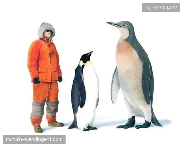 阿伯丁新总监曾因假球入狱 并在新西兰偷窃藏企鹅